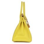 HERMÈS BIRKIN 30 LIME EPSOM GOLD HARDWARE