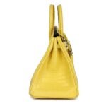 HERMÈS BIRKIN 25 MIMOSA MATTE NILOTICUS CROCODILE PALLADIUM HARDWARE