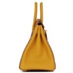 HERMÈS SPECIAL ORDER HSS BIRKIN 25 GOLD AND JAUNE AMBRE TOGO BRUSHED GOLD HARDWARE