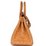 HERMÈS SPECIAL ORDER HSS BIRKIN 25 GOLD VERSO OSTRICH GOLD HARDWARE