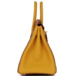 HERMÈS SPECIAL ORDER HSS BIRKIN 25 GOLD AND JAUNE AMBRE TOGO BRUSHED GOLD HARDWARE