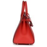 HERMÈS BIRKIN SELLIER 25 CAPUCINE EPSOM PALLADIUM HARDWARE