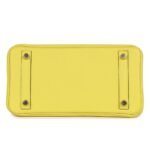 HERMÈS SPECIAL ORDER (HSS) BIRKIN 25 LIME VERSO CLEMENCE ROSE GOLD HARDWARE