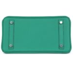 HERMÈS BIRKIN 25 VERT VERTIGO VERSO SWIFT PALLADIUM HARDWARE