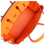 HERMÈS BIRKIN 25 ORANGE MINIUM TOGO PALLADIUM HARDWARE (Copy)
