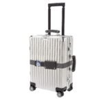 FENDI TROLLEY CABIN SIZE FROM THE SPRING FESTIVAL CAPSULE COLLECTION