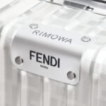 FENDI TROLLEY CABIN SIZE FROM THE SPRING FESTIVAL CAPSULE COLLECTION