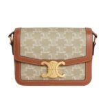 CELINE TEEN TRIOMPHE BAG IN TRIOMPHE CANVAS AND CALFSKIN