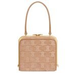 CELINE LANA MINAUDIERE IN SUEDE CALFSKIN WITH TRIOMPHE STRASS