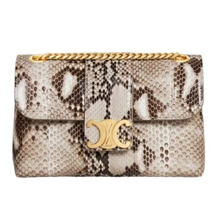 CELINE TEEN VICTOIRE BAG IN PYTHON