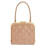 CELINE LANA MINAUDIERE IN SUEDE CALFSKIN WITH TRIOMPHE STRASS