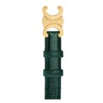 CELINE MEDIUM TRIOMPHE BELT IN LIZARD AMAZONE