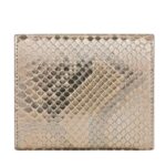 CELINE SMALL FLAP WALLET TRIOMPHE IN PYTHON