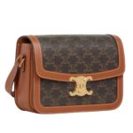 CELINE CLASSIQUE TRIOMPHE BAG IN TRIOMPHE CANVAS AND CALFSKIN