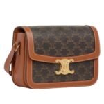 CELINE CLASSIQUE TRIOMPHE BAG IN CANVAS AND CALFSKIN