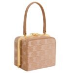 CELINE LANA MINAUDIERE IN SUEDE CALFSKIN WITH TRIOMPHE STRASS
