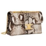 CELINE TEEN VICTOIRE BAG IN PYTHON