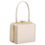 CELINE LANA MINAUDIERE IN LIZARD