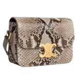 CELINE TEEN TRIOMPHE BAG IN PYTHON