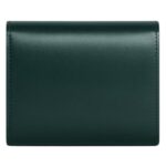 CELINE SMALL FLAP WALLET TRIOMPHE IN SHINY CALFSKIN AMAZONE