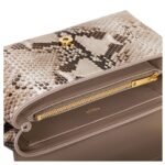 CELINE TEEN VICTOIRE BAG IN PYTHON