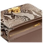 CELINE TEEN TRIOMPHE BAG IN PYTHON