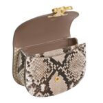 CELINE MINI CHAIN BESACE CLEA IN PYTHON
