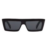 CELINE MONOCHROMS 02 SUNGLASSES IN ACETATE BLACK