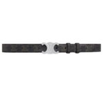 CELINE MEDIUM TRIOMPHE BELT IN TRIOMPHE CANVAS