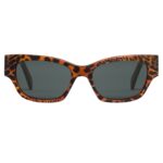 CELINE MONOCHROMS 01 SUNGLASSES IN ACETATE