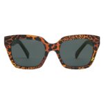 CELINE MONOCHROMS 03 SUNGLASSES IN ACETATE