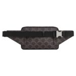 CELINE BELT BAG IN TRIOMPHE CANVAS AND CALFSKIN