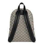 CELINE MEDIUM BACKPACK IN TRIOMPHE CANVAS AND CALFSKIN BEIGE