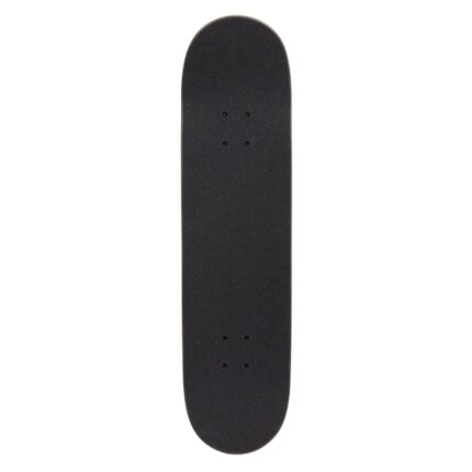 CELINE SKATEBOARD IN TEXTURED SNAKE AND CELINE PRINT