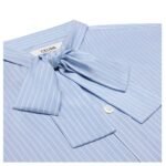 CELINE ROMY LAVALLIÈRE SHIRT IN STRIPED SILK