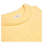 CELINE COWL NECK SWEATER IN POINTELLE CASHMERE
