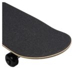 CELINE SKATEBOARD IN TEXTURED SNAKE AND CELINE PRINT