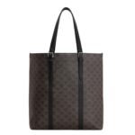 CELINE CABAS WITH BUCKLE IN TRIOMPHE CANVAS AND CALFSKIN