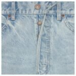 CELINE WESLEY SHORTS IN HORIZON WASH DENIM