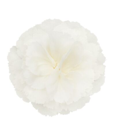 CELINE FLEUR ŒILLET LAPEL PIN IN SILK BRASS AND STEEL