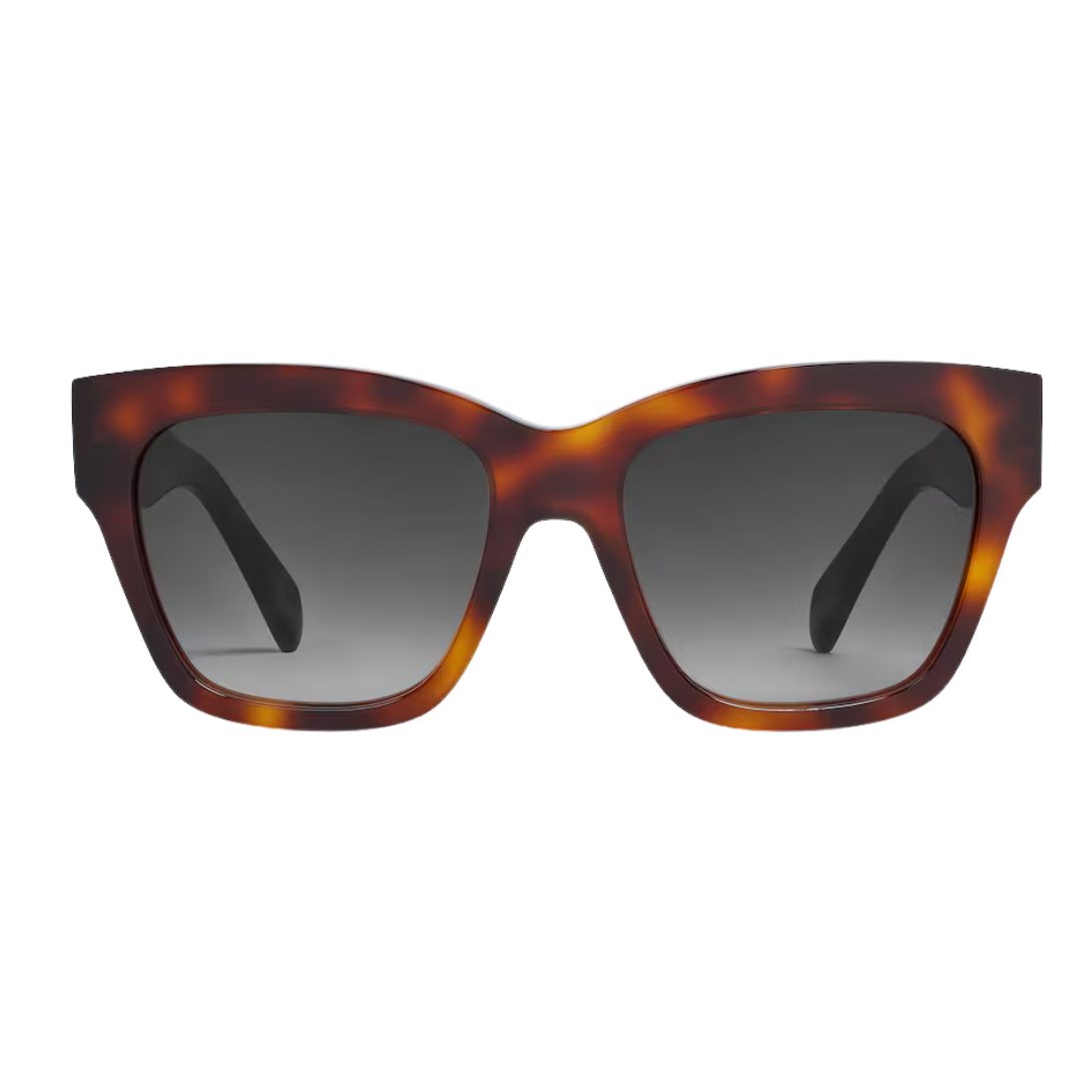 5 CELINE TRIOMPHE 09 SUNGLASSES IN ACETATE CLASSIC HAVANA