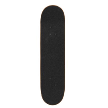CELINE SKATEBOARD IN TEXTURED TIGER AND CELINE PRINT