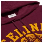 CELINE BLASON HOOODIE IN COTTON FLEECE